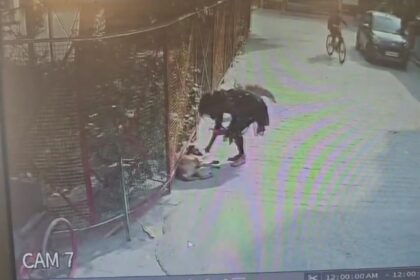 खुले में स्ट्रीट डॉग को खाना खिला रही युवती को टोकना पड़ा भारी, युवती ने की जमकर अभद्रता