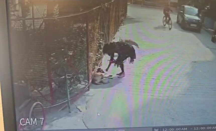 खुले में स्ट्रीट डॉग को खाना खिला रही युवती को टोकना पड़ा भारी, युवती ने की जमकर अभद्रता