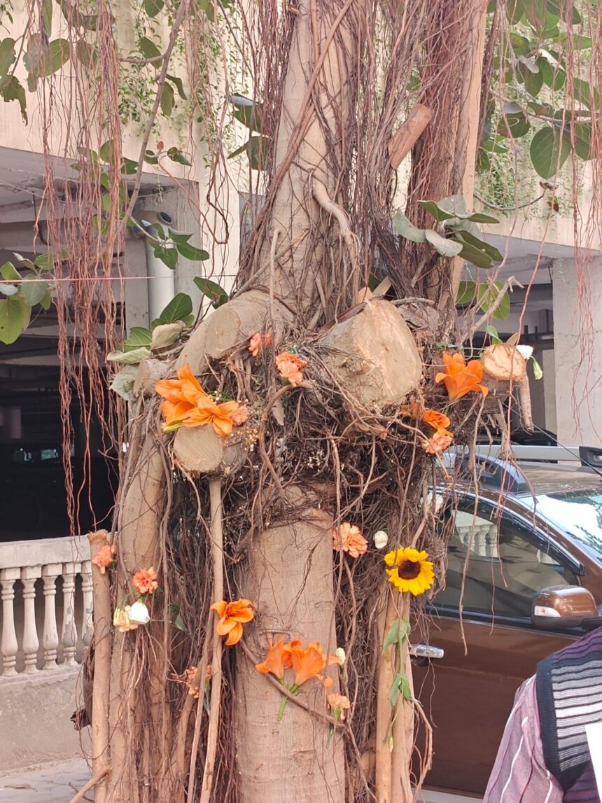 शिप्रा कृष्णा विस्ता में ट्रिमिंग के आड़