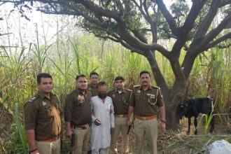 चिलकाना