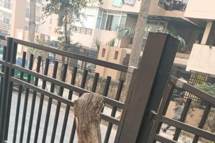 GRAP-3 के बीच गाजियाबाद में 25 पेड़ों की अवैध कटाई