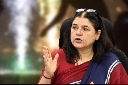 मेनका गांधी पटाखे बयान