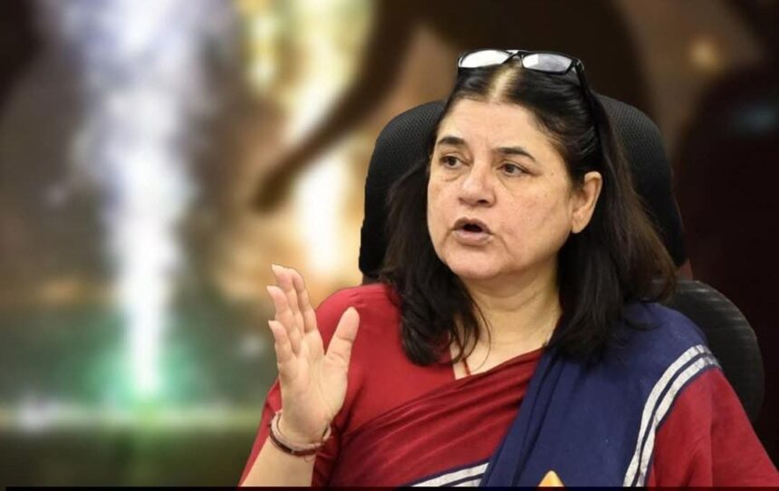 मेनका गांधी पटाखे बयान