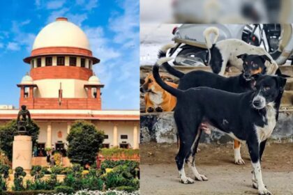 कुत्ते के काटने पर मुआवजा