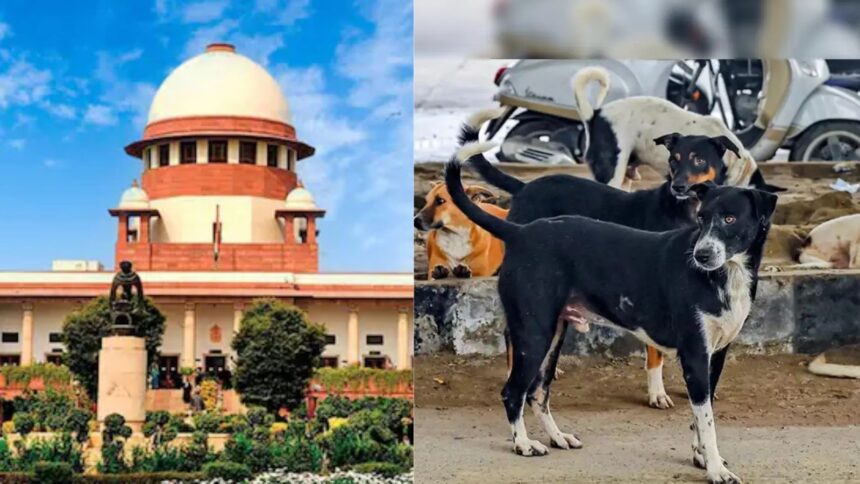 कुत्ते के काटने पर मुआवजा