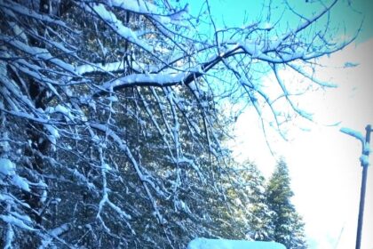 ज्योतिर्मठ औली सड़क बर्फबारी