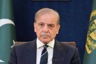 भारत पाकिस्तान T20 विश्व कप