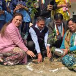 हरियाली की नई शुरुआत: स्कूल में वृक्षारोपण अभियान