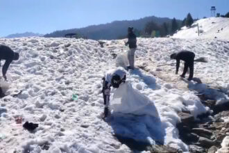 Auli Winter Carnival 2026