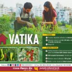 PNB गृह वाटिका योजना: रूफटॉप ऑर्गेनिक बागवानी के लिए पंजाब नेशनल बैंक का डिजिटल ऋण