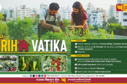 PNB गृह वाटिका योजना: रूफटॉप ऑर्गेनिक बागवानी के लिए पंजाब नेशनल बैंक का डिजिटल ऋण