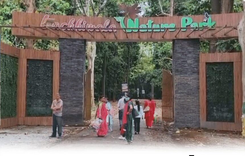 वाइल्ड समर फेस्ट 2026 देहरादून