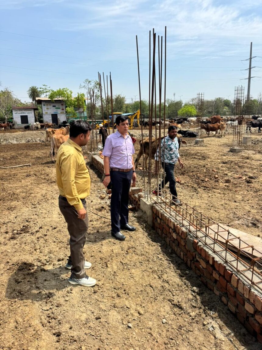 गाजियाबाद गौशाला विस्तार