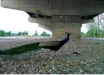 Delhi Dehradun Corridor