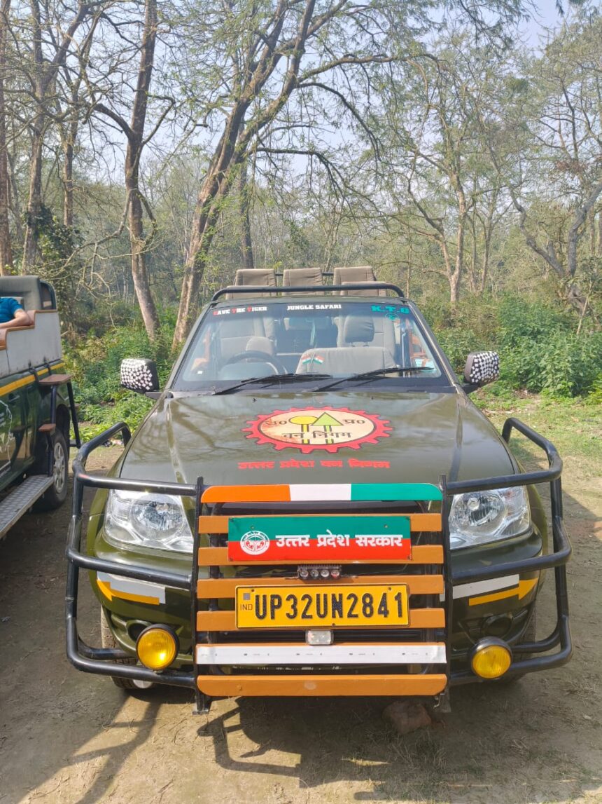 जंगल सफारी