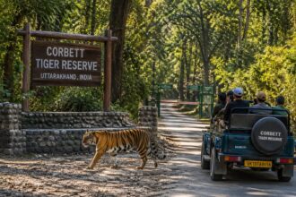 Supreme Court Jungle Safari Ban
