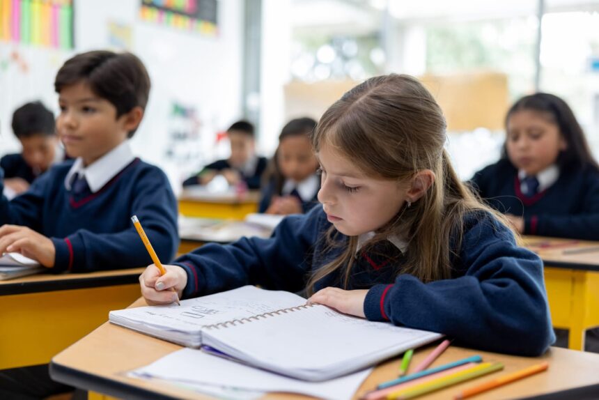 नोएडा डीएम एक्शन