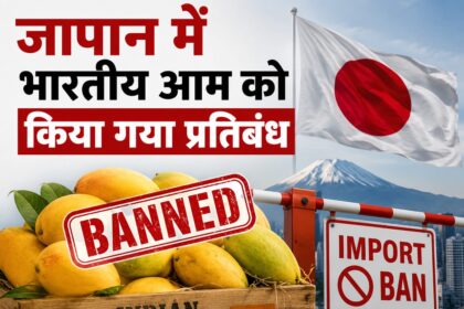जापान