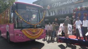 पिंक टिकट सिस्टम