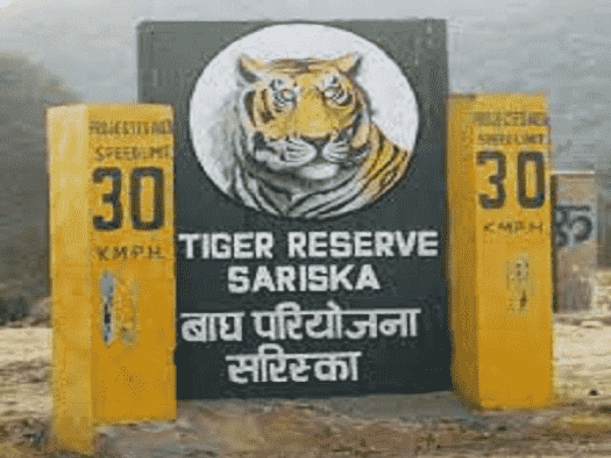 सरिस्का टाइगर रिजर्व ट्रिप