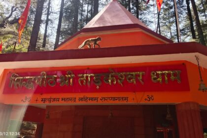 ताड़केश्वर धाम: देवदार के जंगलों के बीच बसा भगवान शिव का दिव्य मंदिर
