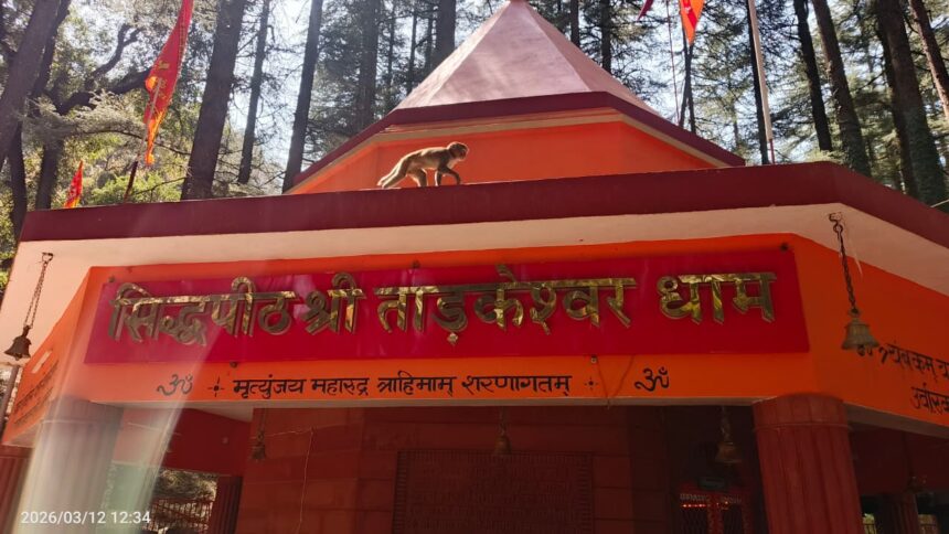 ताड़केश्वर धाम: देवदार के जंगलों के बीच बसा भगवान शिव का दिव्य मंदिर
