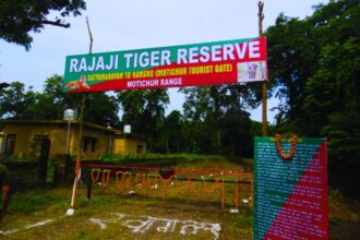 मोतीचूर जंगल सफारी: हरिद्वार में प्रकृति, वन्यजीव और आध्यात्मिक शांति का अद्भुत संगम