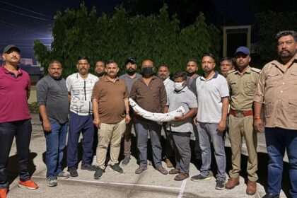 उधमसिंह नगर में STF और वन विभाग की बड़ी कार्रवाई