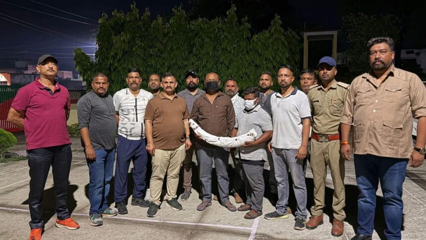 उधमसिंह नगर में STF और वन विभाग की बड़ी कार्रवाई