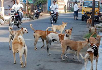 सुप्रीम कोर्ट